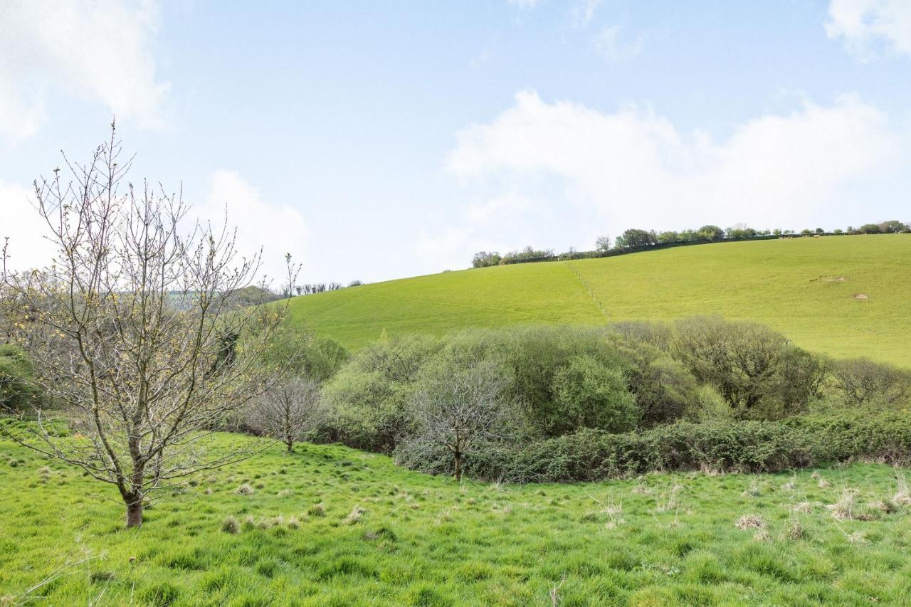 Oak Cottage South Molton Esterno foto
