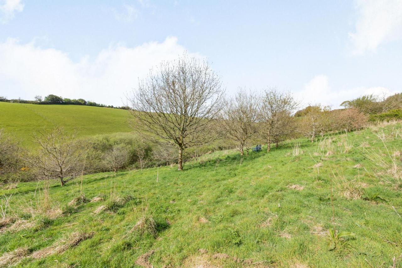Oak Cottage South Molton Esterno foto