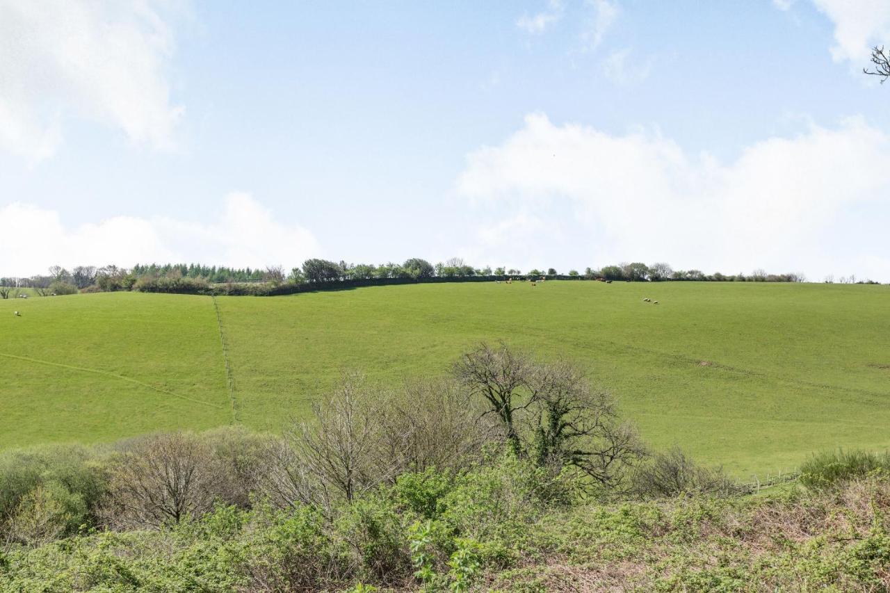 Oak Cottage South Molton Esterno foto